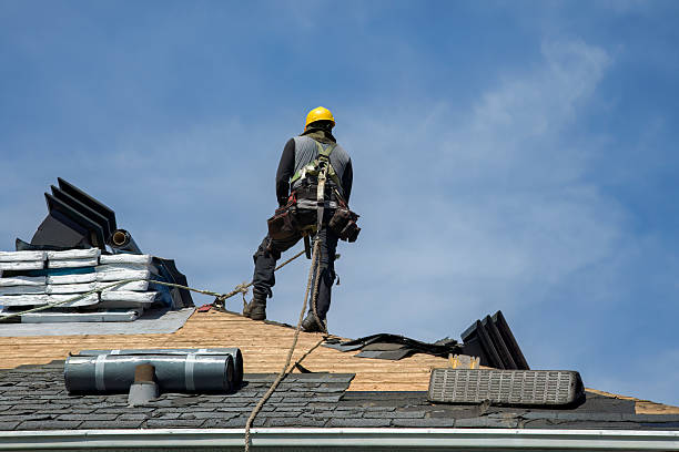 Professional Roof Replacement technician working in Campbell, FL